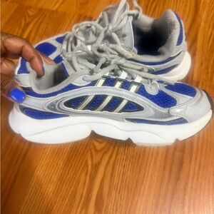 Blue and Gray Adiddas